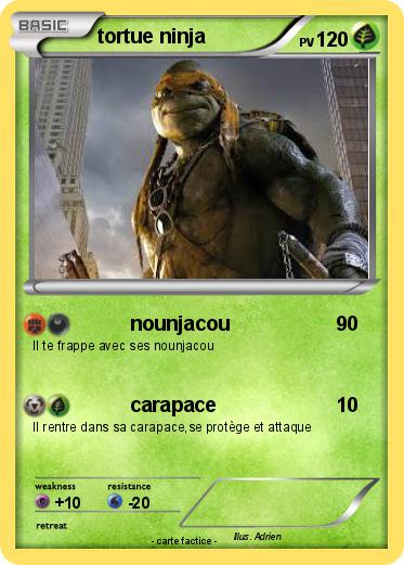 Pokemon tortue ninja