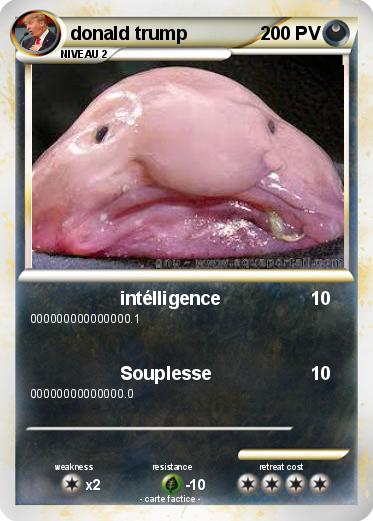 Pokemon donald trump