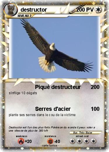 Pokemon destructor