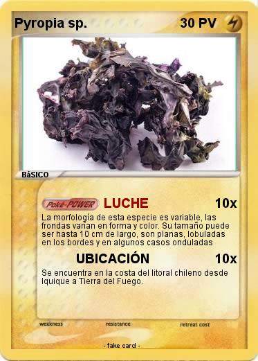 Pokemon Pyropia sp.