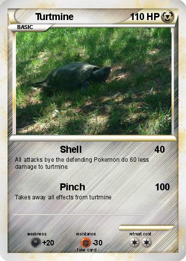 Pokemon Turtmine