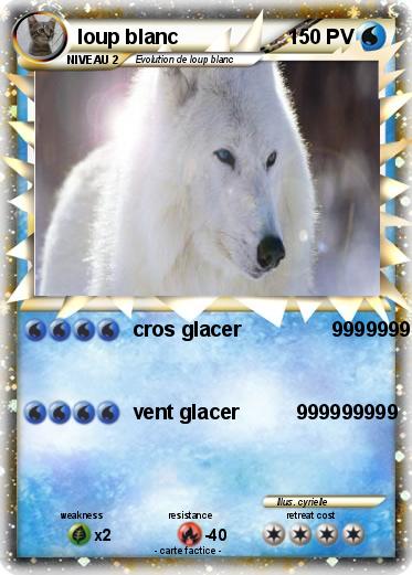 Pokemon loup blanc