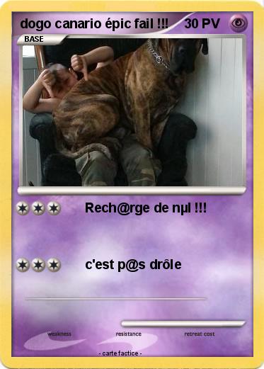 Pokemon dogo canario épic fail !!!