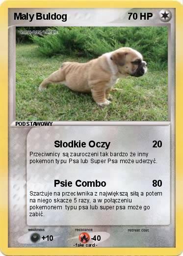 Pokemon Mały Buldog