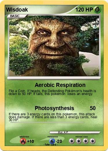 Pokemon Wisdoak