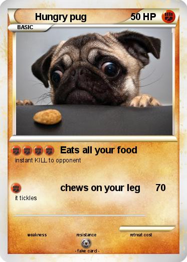 Pokemon Hungry pug
