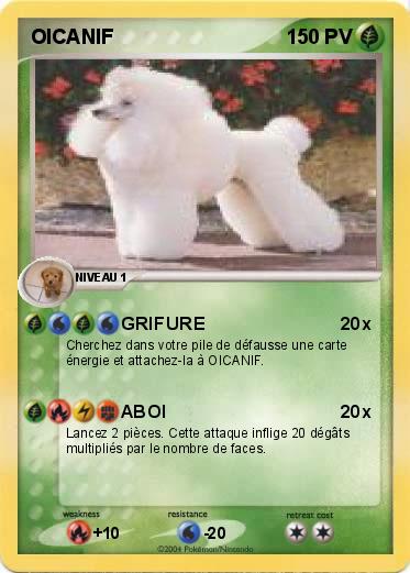 Pokemon OICANIF