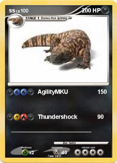 Pokemon ss