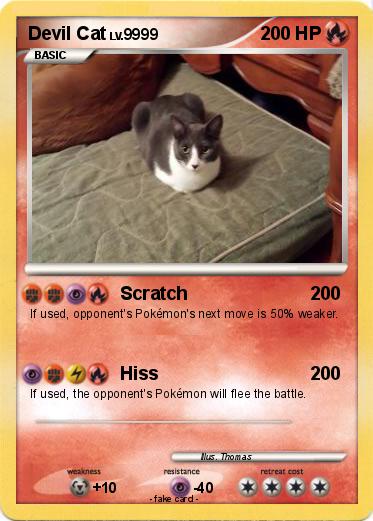 Pokemon Devil Cat