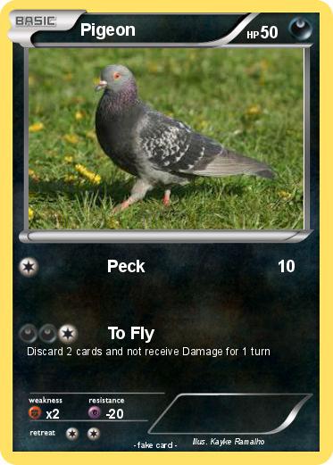 Pokemon Pigeon