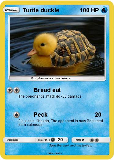 Pokemon Turtle duckle