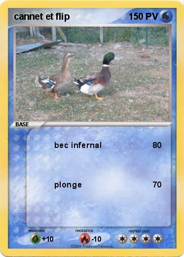 Pokemon cannet et flip