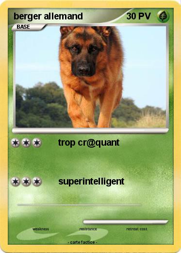 Pokemon berger allemand
