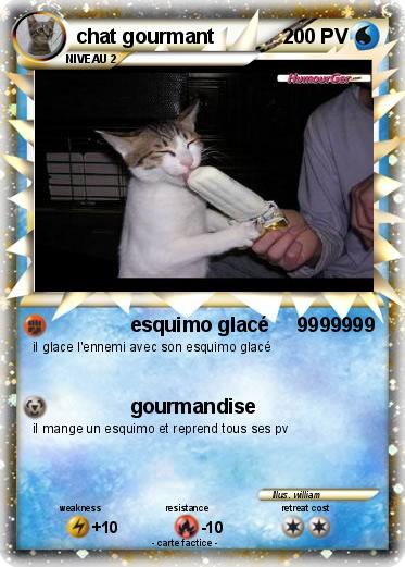Pokemon chat gourmant