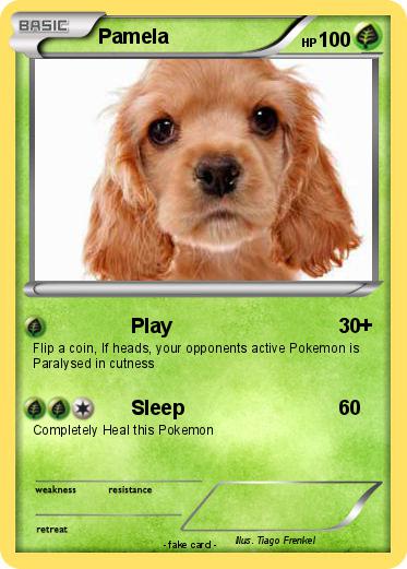 Pokemon Pamela