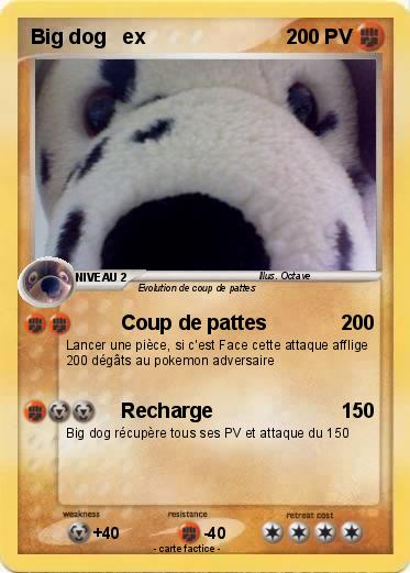 Pokemon Big dog   ex