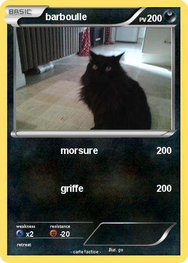 Pokemon barboulle