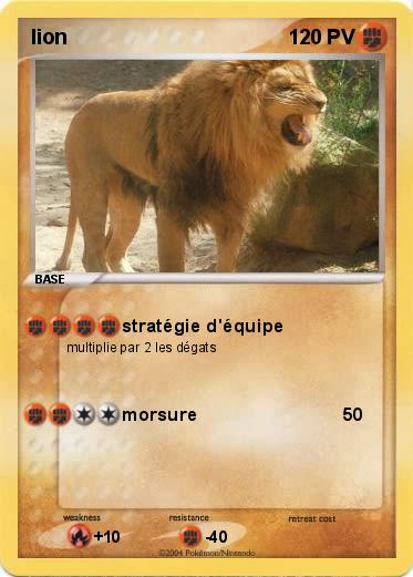 Pokemon lion