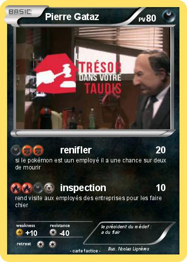 Pokemon Pierre Gataz