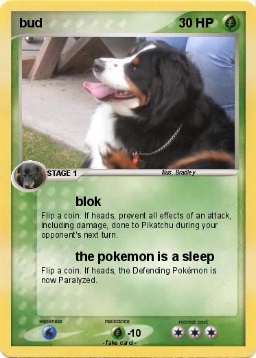 Pokemon bud