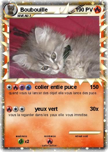Pokemon Boubouille