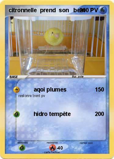 Pokemon citronnelle  prend  son   bein