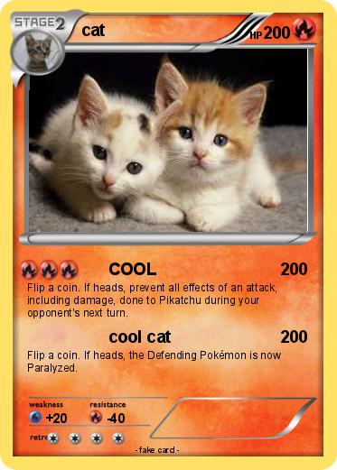 Pokemon cat