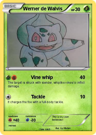 Pokemon Werner de Walvis