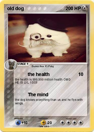 Pokemon old dog