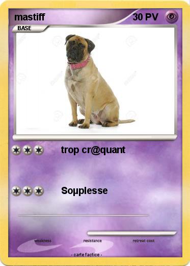Pokemon mastiff