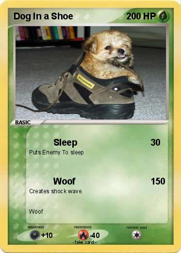Pokemon Dog In a Shoe