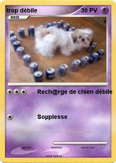 Pokemon trop débile