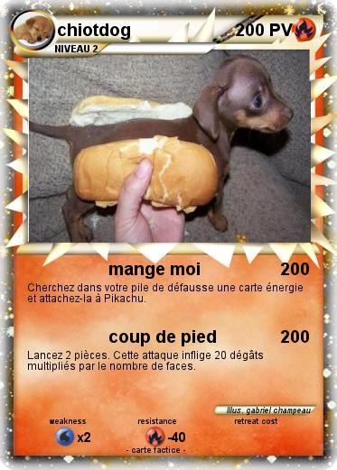 Pokemon chiotdog