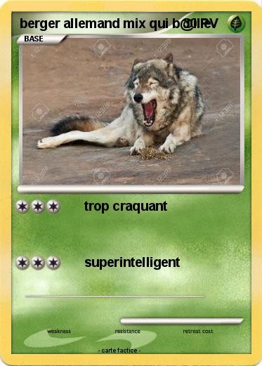 Pokemon berger allemand mix qui b@ille