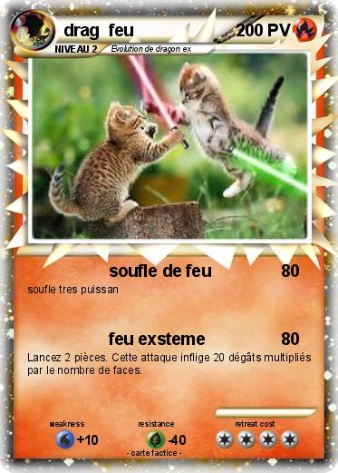 Pokemon drag  feu