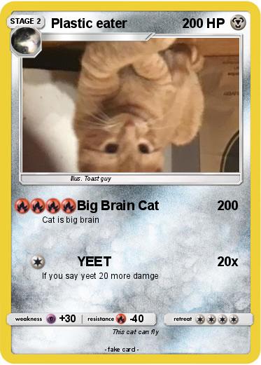 Pokemon Plastic eater