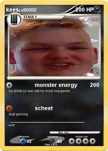 Pokemon kees