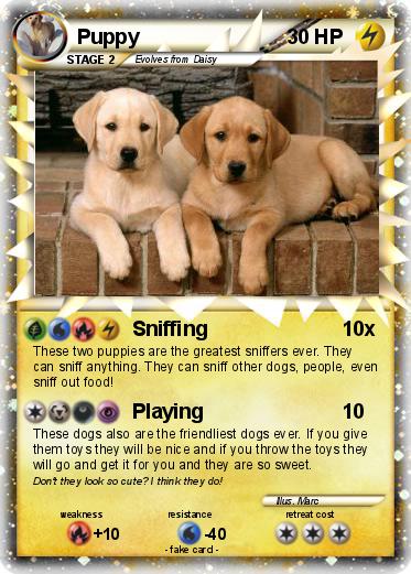 Pokemon Puppy