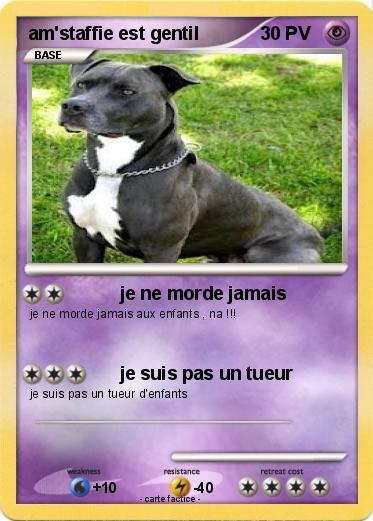 Pokemon am'staffie est gentil