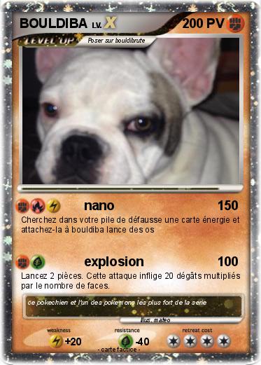 Pokemon BOULDIBA