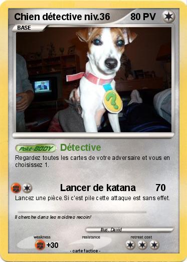 Pokemon Chien détective niv.36