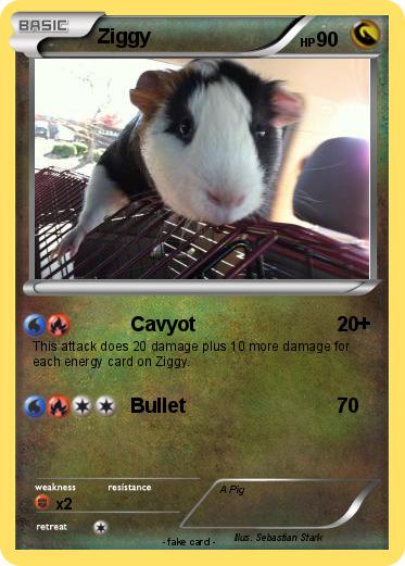 Pokemon Ziggy