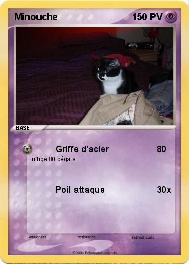 Pokemon Minouche