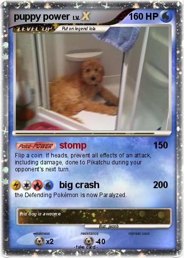 Pokemon puppy power