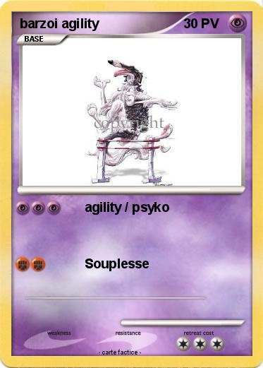 Pokemon barzoi agility