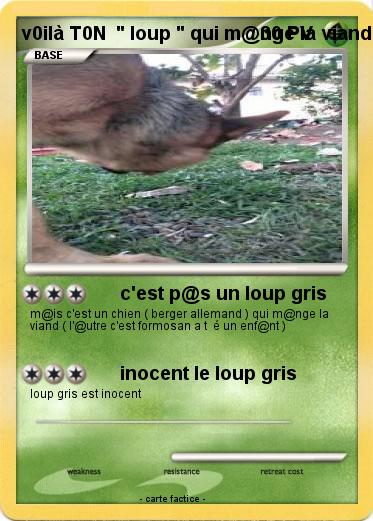 Pokemon v0ilà T0N  " loup " qui m@nge la viande
