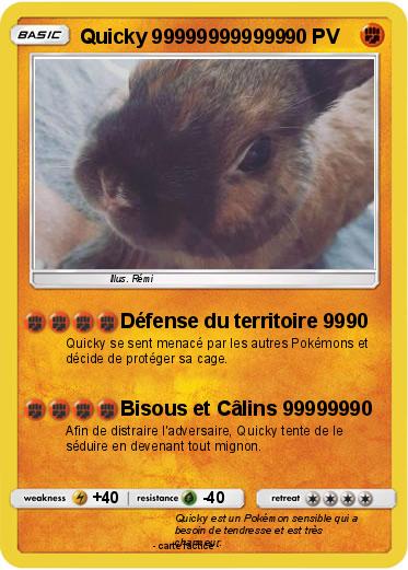 Pokemon Quicky 999999999999