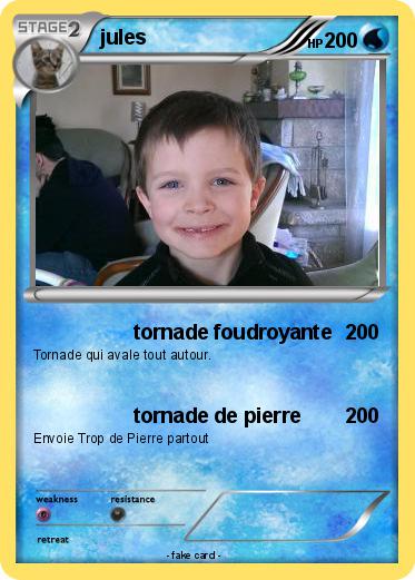 Pokemon jules