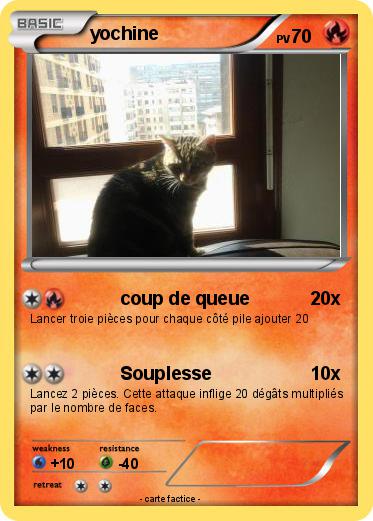 Pokemon yochine