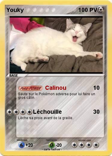 Pokemon Youky